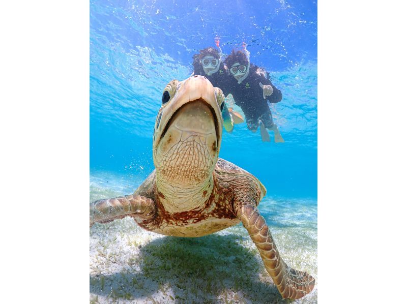 宮古島【1組限定】ウミガメと過ごす特別な2時間！完全貸切でプライベートシュノーケリング！｜高画質写真データ増量！初心者・お子様大歓迎！の紹介画像