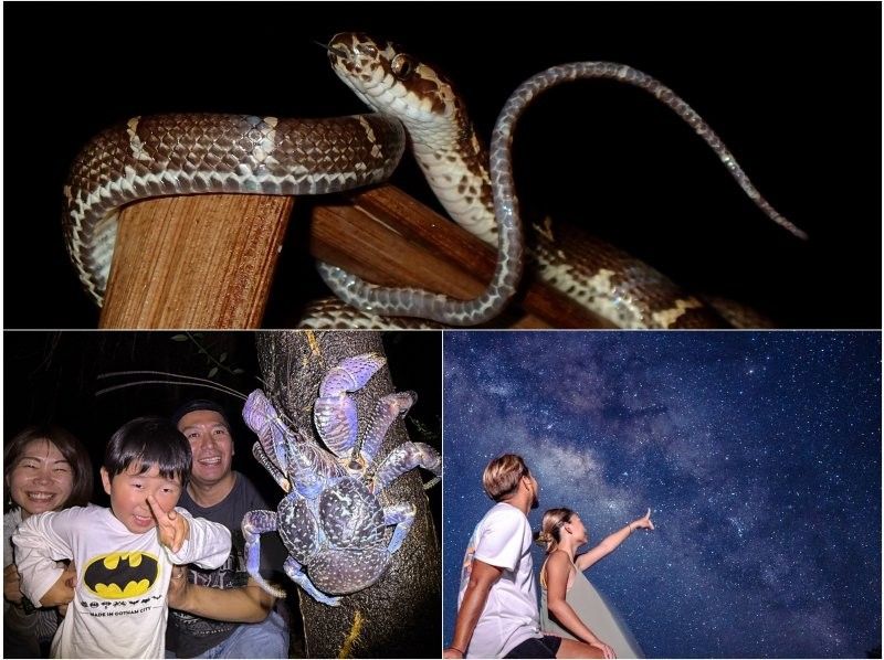 【宮古島｜送迎可能！当日18:00まで予約OK！】ヤシガニ遭遇率100%継続！星空撮影&ワクワクジャングルナイトツアー！の紹介画像