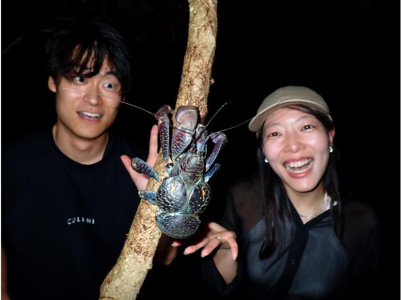 【미야코 섬 | 당일 17:00까지 예약 OK! 】 송영 대응 가능! 가족으로 즐기는 두근두근 밤의 대탐험 |야자게 조우율 100% 계속중! 데이터 모두 선물!の紹介画像