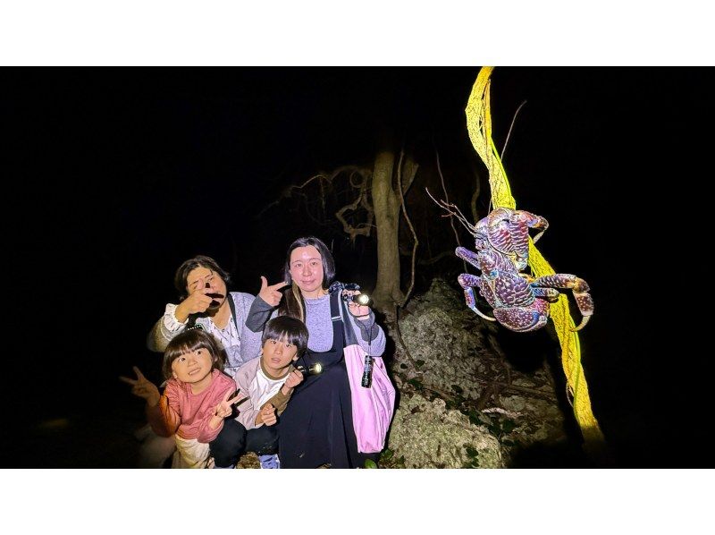 [Okinawa Miyakojima Night Jungle Tour] Coconut Crab Expedition! A mysterious night adventure to search for wild animals that only appear at night!の紹介画像