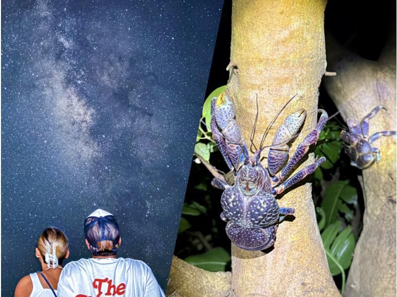 [Miyakojima, pick-up and drop-off available] Same-day reservations OK! Coconut crab & starry sky photography! Coconut crab encounter rate continues to be 100%! An exciting night tour to find creatures that only appear at night!の紹介画像