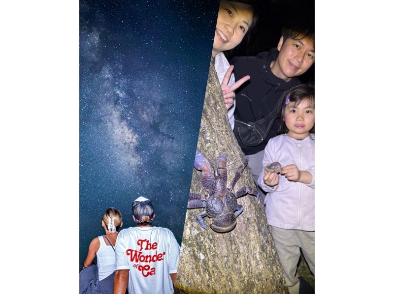 [Miyakojima, pick-up and drop-off available] Same-day reservations OK! Coconut crab & starry sky photography! Coconut crab encounter rate continues to be 100%! An exciting night tour to find creatures that only appear at night!の紹介画像