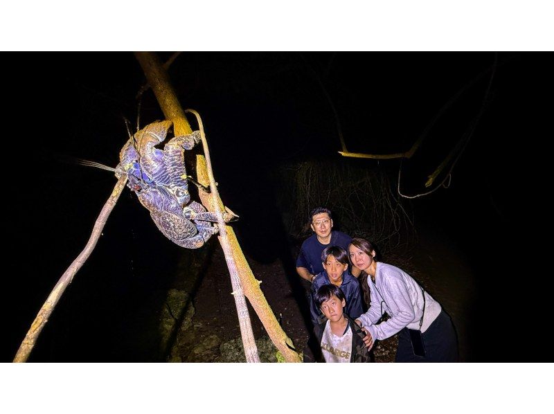 [Okinawa Miyakojima Night Jungle Tour] Coconut Crab Expedition! A mysterious night adventure to search for wild animals that only appear at night!の紹介画像