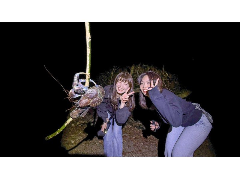 【沖縄・宮古島・ナイトジャングルツアー】ヤシガニ探検隊！夜しか現れない野生動物を探すミステリアスナイトアドベンチャー！の紹介画像