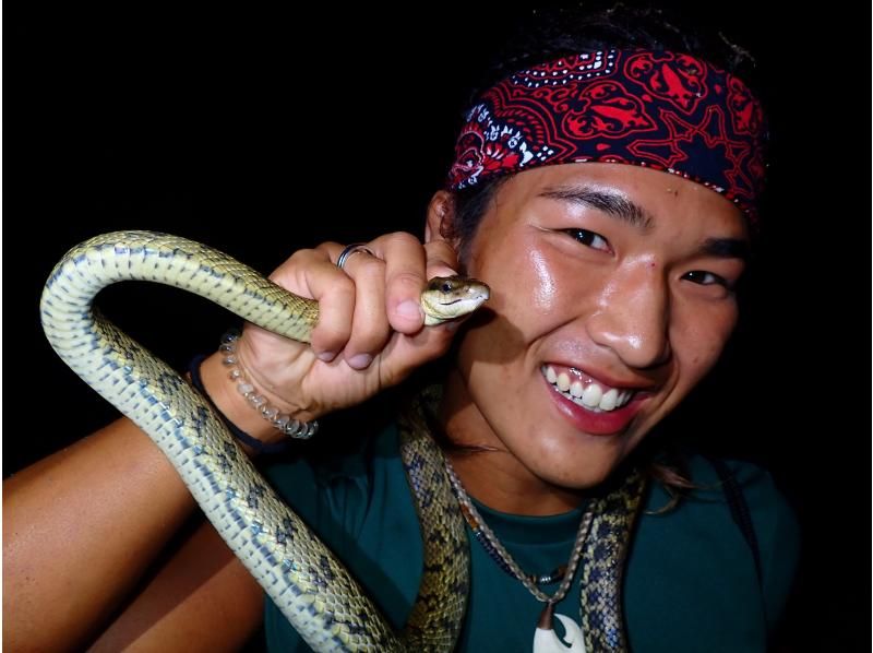 【宮古島｜送迎可能！当日18:00まで予約OK！】ヤシガニ遭遇率100%継続！星空撮影&ワクワクジャングルナイトツアー！の紹介画像