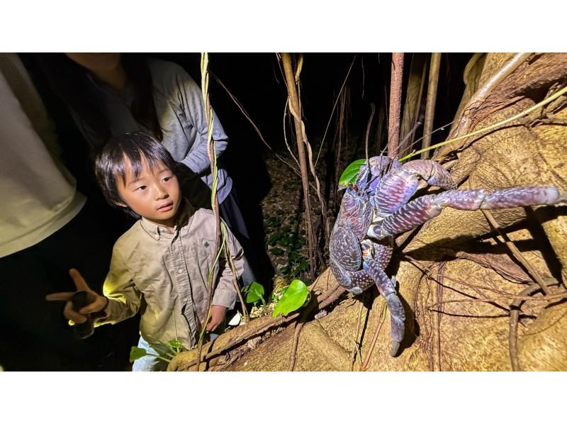 [Okinawa Miyakojima Night Jungle Tour] Coconut Crab Expedition! A mysterious night adventure to search for wild animals that only appear at night!の紹介画像