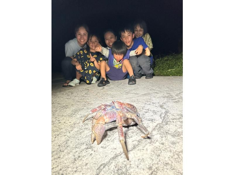 [Okinawa Miyakojima Night Jungle Tour] Coconut Crab Expedition! A mysterious night adventure to search for wild animals that only appear at night!の紹介画像