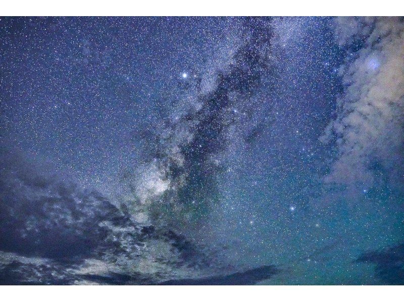 [Miyakojima, pick-up and drop-off available] Same-day reservations OK! Coconut crab & starry sky photography! Coconut crab encounter rate continues to be 100%! An exciting night tour to find creatures that only appear at night!の紹介画像