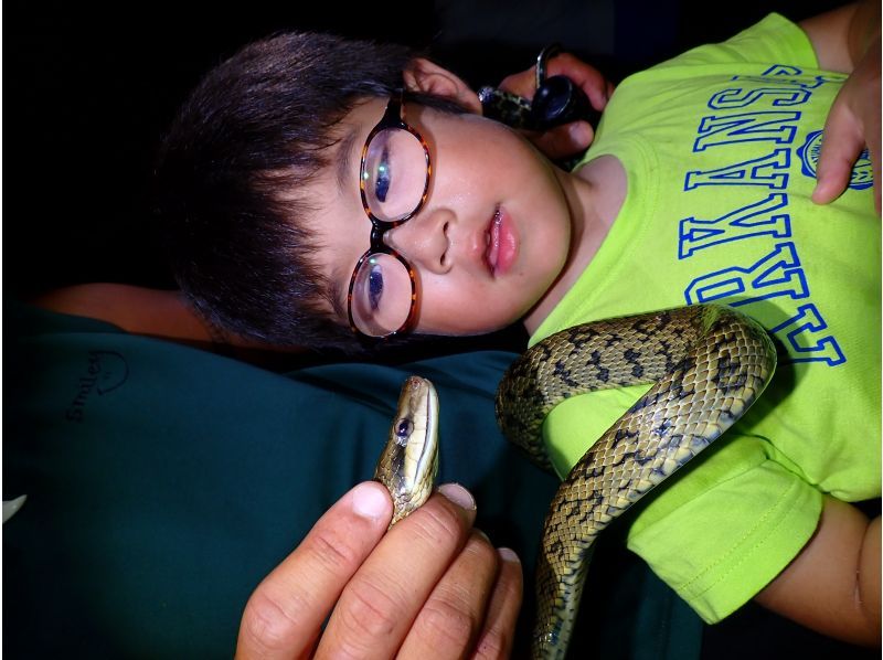 【宮古島｜送迎可能！当日18:00まで予約OK！】ヤシガニ遭遇率100%継続！星空撮影&ワクワクジャングルナイトツアー！の紹介画像