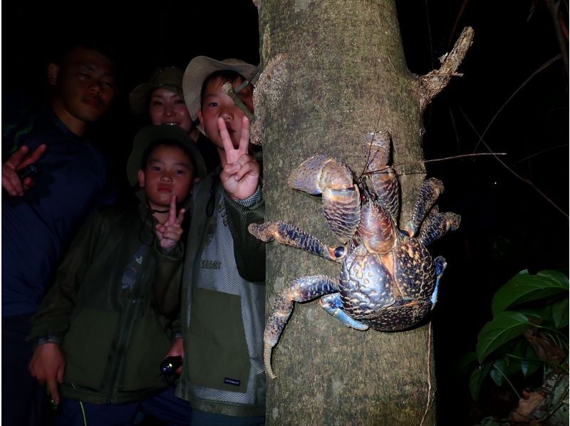 [Miyakojima, pick-up and drop-off available] Same-day reservations OK! Coconut crab & starry sky photography! Coconut crab encounter rate continues to be 100%! An exciting night tour to find creatures that only appear at night!の紹介画像
