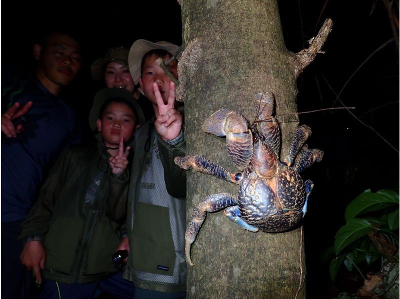 【미야코 섬 | 당일 17:00까지 예약 OK! 】 송영 대응 가능! 가족으로 즐기는 두근두근 밤의 대탐험 |야자게 조우율 100% 계속중! 데이터 모두 선물!の紹介画像