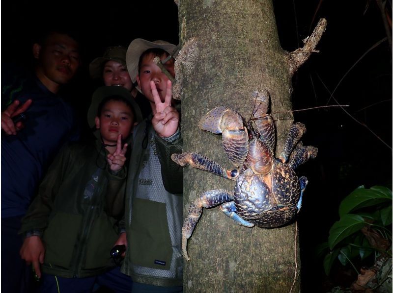 【宮古島｜送迎可能！当日18:00まで予約OK！】ヤシガニ遭遇率100%継続！星空撮影&ワクワクジャングルナイトツアー！の紹介画像