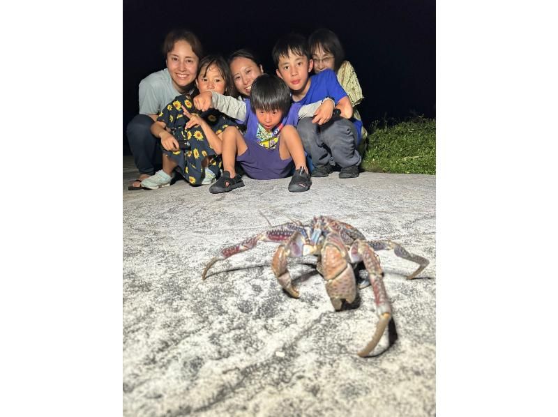 【沖縄・宮古島・ナイトジャングルツアー】ヤシガニ探検隊！夜しか現れない野生動物を探すミステリアスナイトアドベンチャー！の紹介画像