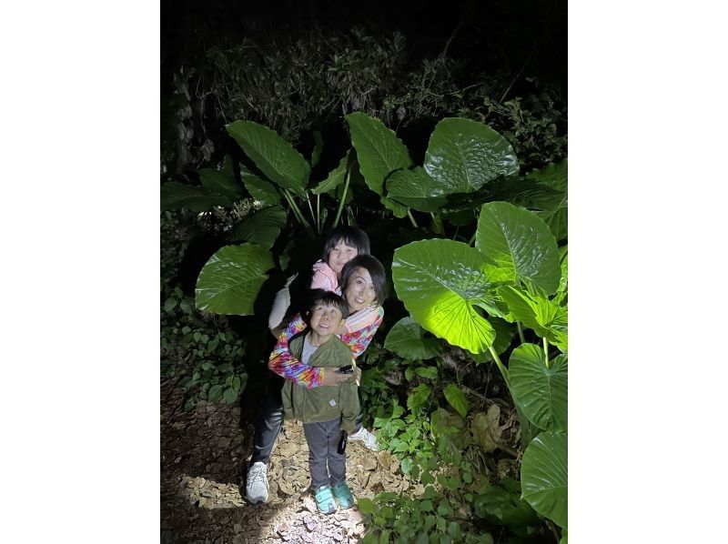【沖縄・宮古島】幻想の宮古島ナイト 星々と夜の生き物探訪の紹介画像