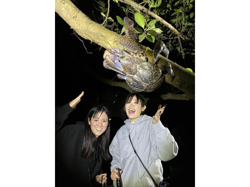 【沖縄・宮古島】幻想の宮古島ナイト 星々と夜の生き物探訪の紹介画像