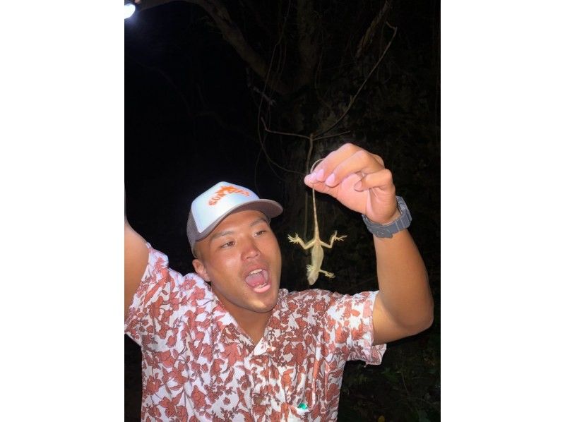【沖縄・宮古島】幻想の宮古島ナイト 星々と夜の生き物探訪の紹介画像