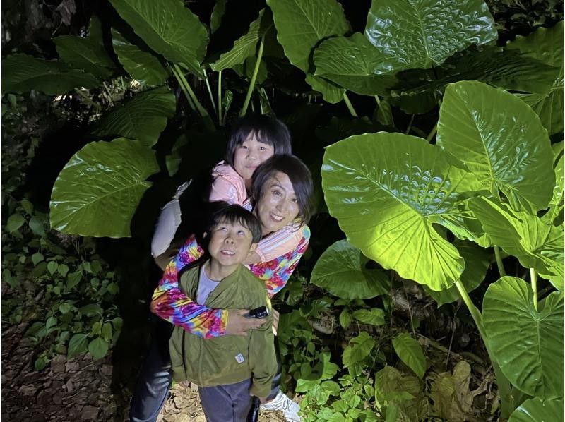 【오키나와 미야코지마】 환상의 미야코지마 나이트 별들과 밤의 생물 탐방の紹介画像