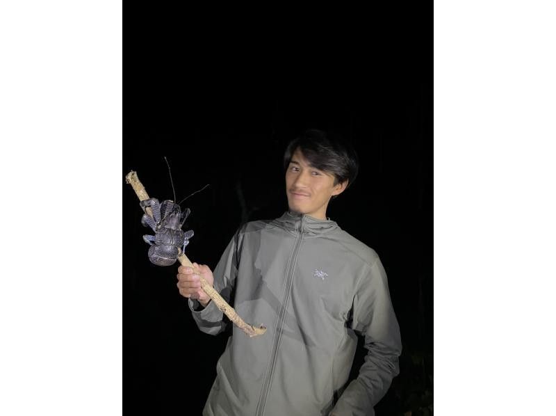 【沖縄・宮古島】幻想の宮古島ナイト 星々と夜の生き物探訪の紹介画像