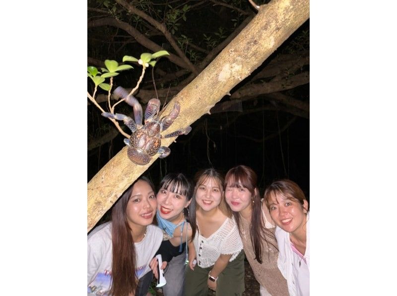 【오키나와 미야코지마】 환상의 미야코지마 나이트 별들과 밤의 생물 탐방の紹介画像