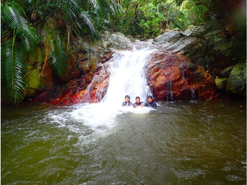 [Ishigaki Island] Snorkeling, SUP, and Kayaking: A one-day special tour around famous natural sites!の紹介画像