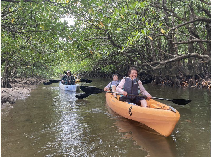 [Ishigaki Island] Snorkeling, SUP, and Kayaking: A one-day special tour around famous natural sites!の紹介画像