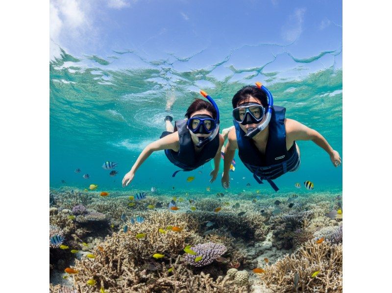 [Ishigaki Island] Snorkeling, SUP, Kayaking - A one-day special collaboration tour of the island's famous spots, Kabira Bay, Blue Cave, Healing Falls, Yaima Village, Jungle, and Mangroves!の紹介画像