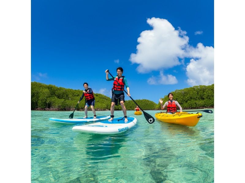 【石垣島】シュノーケル・SUP・カヤック　島の名所川平湾・青の洞窟・回復の滝・やいま村・ジャングル・マングローブ１日スペシャルコラボツアー！の紹介画像