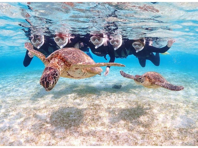 Miyakojima/Private tour《Enjoy a great deal with a student discount!》Very popular! [Sea turtle snorkeling] with a 100% encounter rate★Reservations available on the day!★Free photo data!の紹介画像