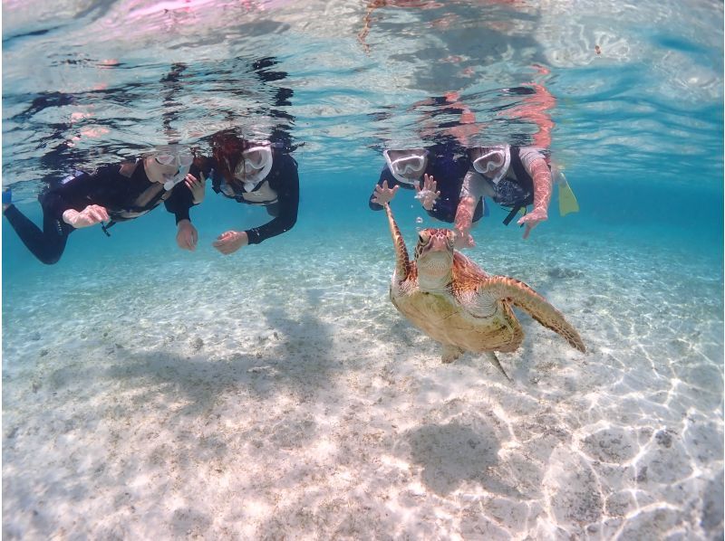 Miyakojima/Private tour《Enjoy a great deal with a student discount!》Very popular! [Sea turtle snorkeling] with a 100% encounter rate★Reservations available on the day!★Free photo data!の紹介画像