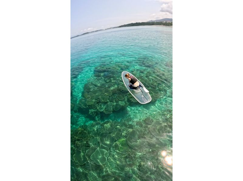 [Okinawa/Onna Village/Clear SUP] Enjoy the beautiful ocean of Okinawa on a transparent board ♪ Small group size for beginners ♪ Take "eye-catching photos" with unlimited photo and video recording ♪の紹介画像