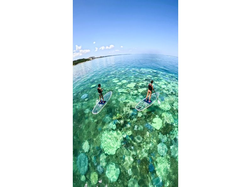 [Okinawa/Onna Village/Clear SUP] Enjoy the beautiful ocean of Okinawa on a transparent board ♪ Small group size for beginners ♪ Take "eye-catching photos" with unlimited photo and video recording ♪の紹介画像