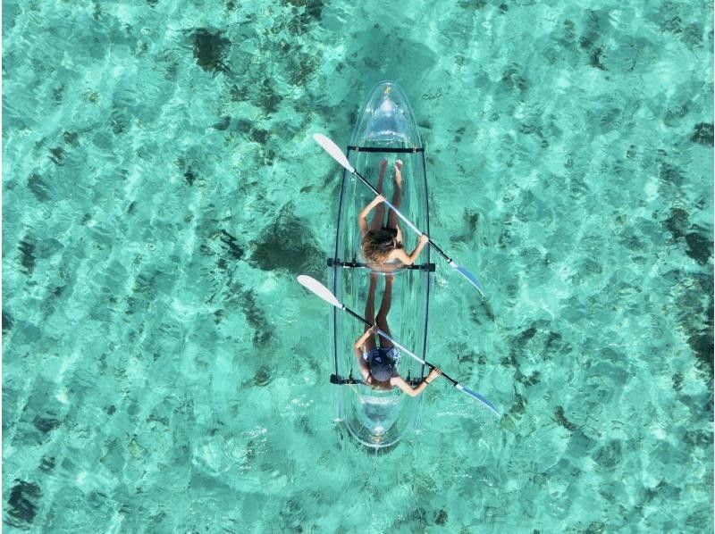 [Okinawa main island, northern part / Nakijin Village] The only tour that can be enjoyed from 1 year old! Clear Kayak 60 minute course (drone photography also available)の紹介画像