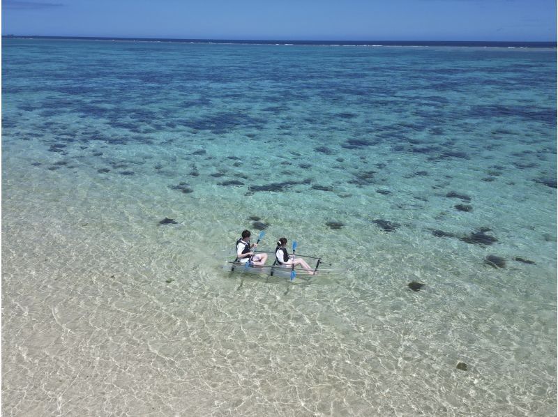 [Okinawa main island, northern part / Nakijin Village] The only tour that can be enjoyed from 1 year old! Clear Kayak 60 minute course (drone photography also available)の紹介画像