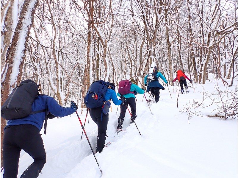 [Yokote City, Akita Prefecture] Fermentation evangelist supervised, you too can be a sake brewer! ~Optional tour~ Enjoy winter in Yokote with a snow hike on Mt. Masatoの紹介画像