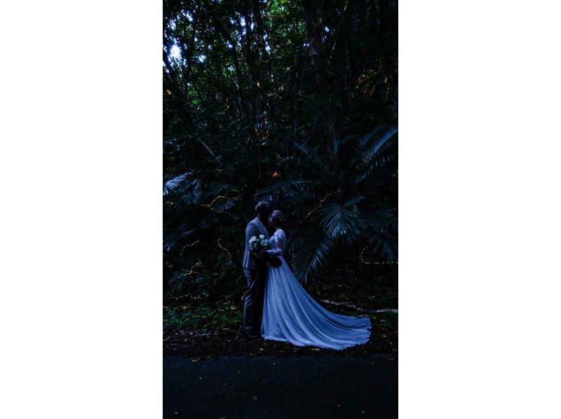 【当日予約OK】＜3月〜5月下旬＞星が地上に降りてきたかのような＜石垣島を照らすホタルツアー＞四季を感じる夜の冒険【送迎無料】の紹介画像