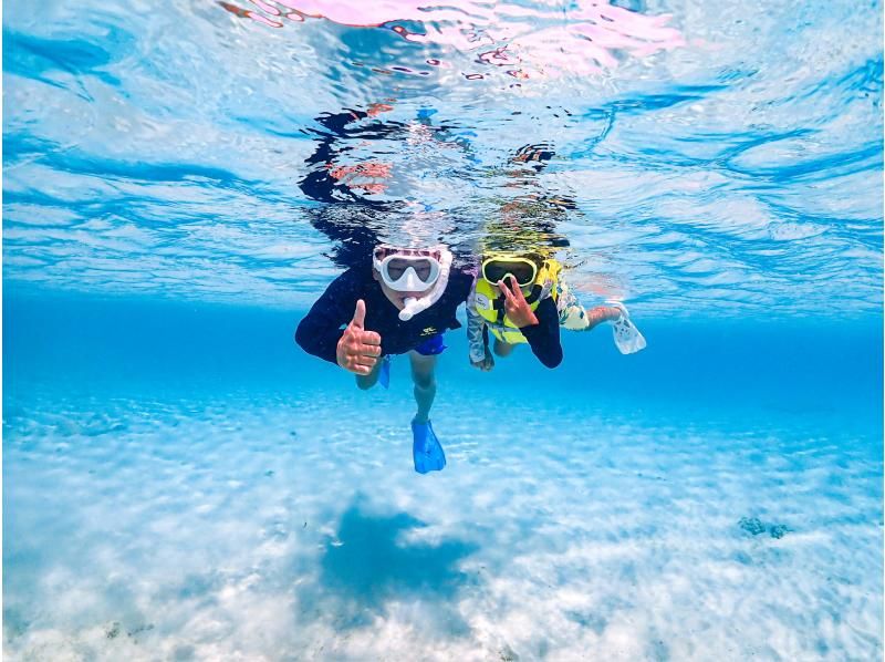 [Miyakojima / Same-day reservations OK!!] ★Sea turtle snorkeling & Churaumi snorkeling! Observe beautiful tropical fish!の紹介画像