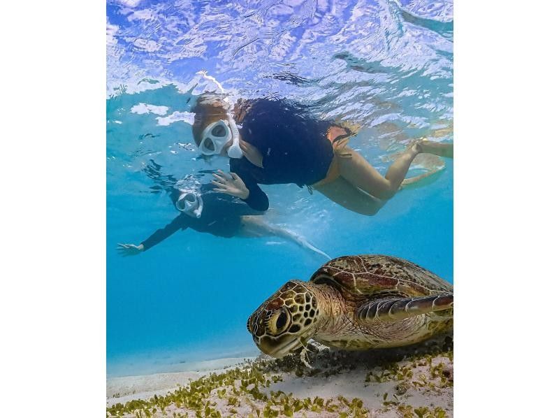 [Miyakojima / Same-day reservations OK!!] ★ Very popular snorkeling plan! Churaumi snorkeling! Observe beautiful tropical fish! You might even encounter sea turtles!の紹介画像