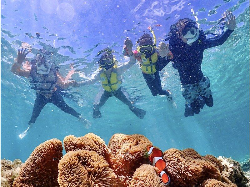 [Miyakojima / Same-day reservations OK!!] ★Sea turtle snorkeling & Churaumi snorkeling! Observe beautiful tropical fish!の紹介画像