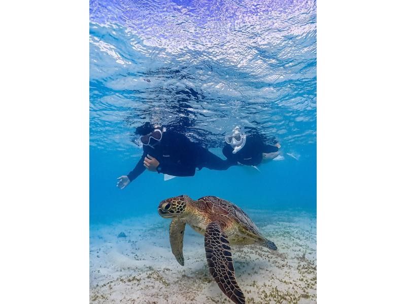 [Miyakojima / Same-day reservations OK!!] ★ Very popular snorkeling plan! Churaumi snorkeling! Observe beautiful tropical fish! You might even encounter sea turtles!の紹介画像