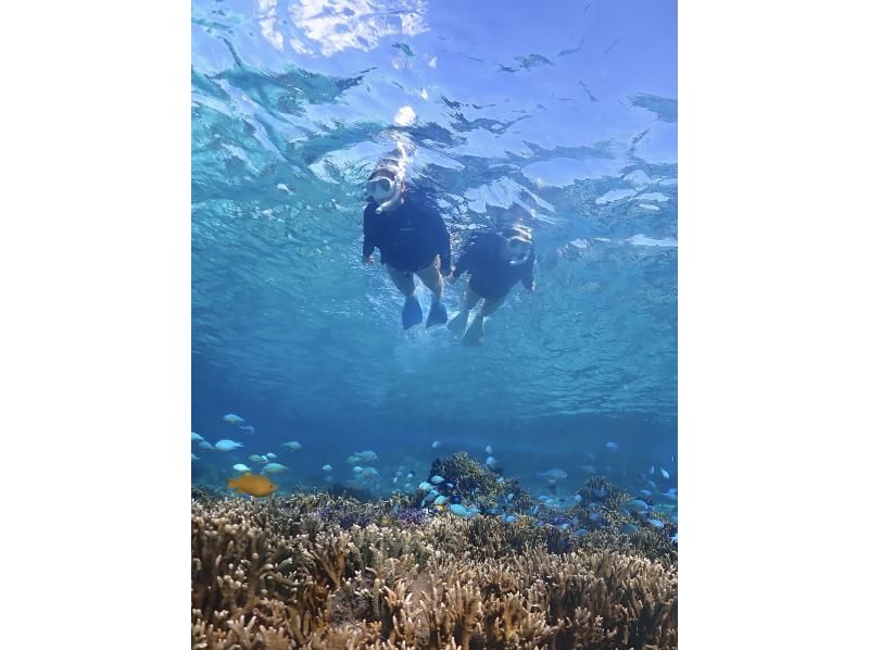 [Miyakojima / Same-day reservations OK!!] ★ Very popular snorkeling plan! Churaumi snorkeling! Observe beautiful tropical fish! You might even encounter sea turtles!の紹介画像