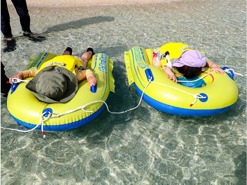 [Miyakojima / Same-day reservations OK!!] ★Sea turtle snorkeling & Churaumi snorkeling! Observe beautiful tropical fish!の紹介画像