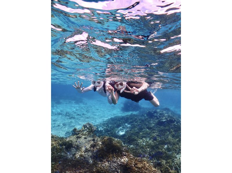 [Miyakojima / Same-day reservations OK!!] ★ Very popular snorkeling plan! Churaumi snorkeling! Observe beautiful tropical fish! You might even encounter sea turtles!の紹介画像