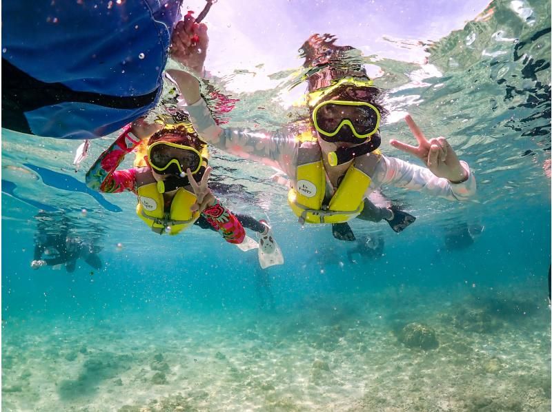 [Miyakojima / Same-day reservations OK!!] ★Sea turtle snorkeling & Churaumi snorkeling! Observe beautiful tropical fish!の紹介画像
