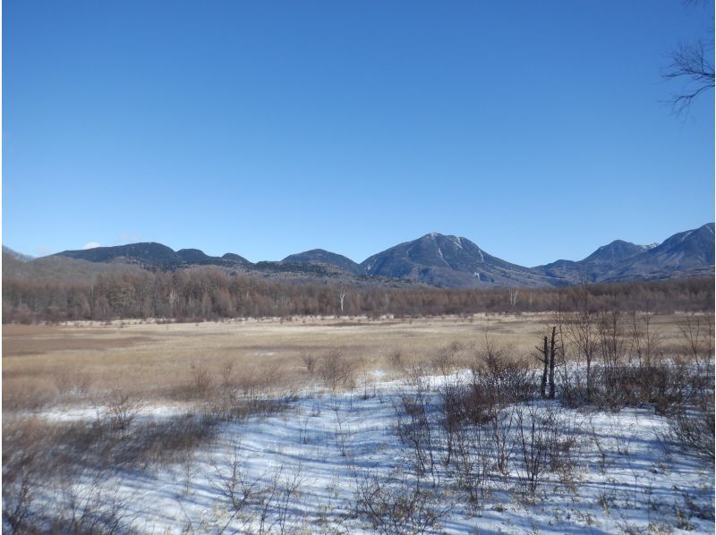 【栃木・日光】足に自信ありの方はこちら！？絶景の氷瀑求めて！奥日光 庵滝氷瀑スノートレッキングドツアーのご案内　１日１回開催の紹介画像