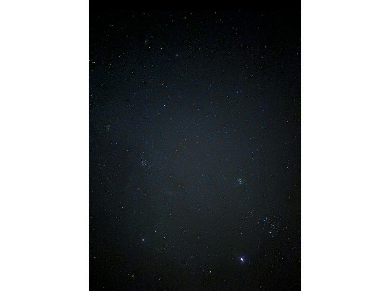 【宮古島・1~2h・生き物・星空】生き物探し探検★ジャングルナイトツアー★夜行性の生き物を探しに行こう！星空も楽しめる♪手ぶらで参加OKの紹介画像