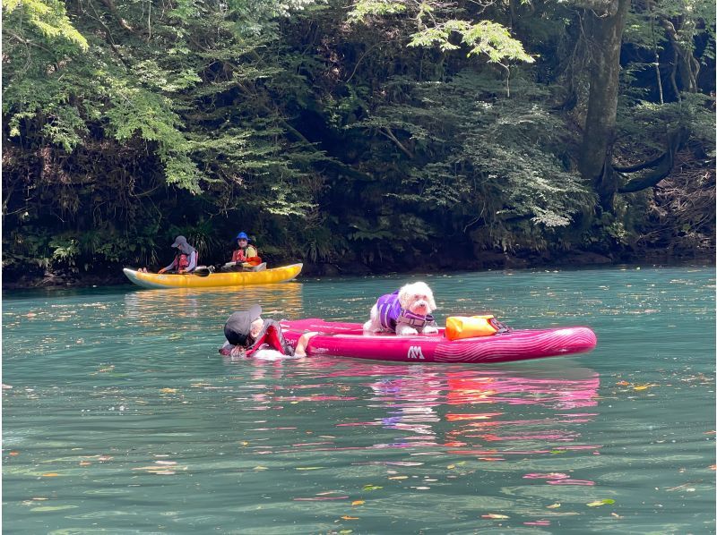 【群馬・四万温泉】SUP聖地！人気の四万湖でサップ体験 1人乗りシングルSUPレンタルの紹介画像