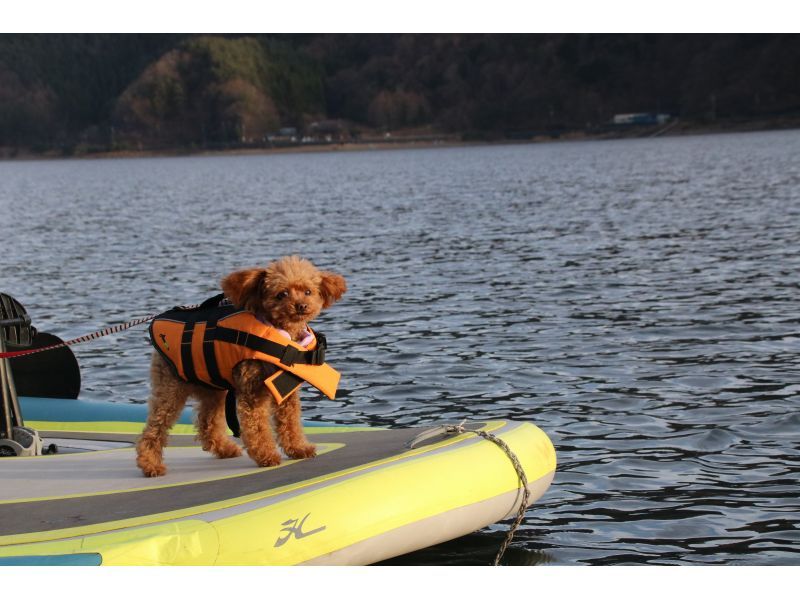 [山梨/西子]每個人都可以乘坐的大船！ &ldquo;幻影 iTrek 嘉年華 60 分鐘租賃&rdquo;の紹介画像