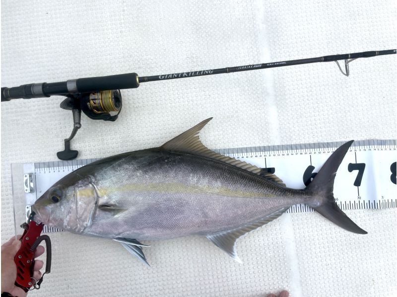 【石垣島・完全貸切】初心者、初挑戦大歓迎！！船で行く半日ルアーフィッシング！（手ぶらOK、写真プレゼント）の紹介画像