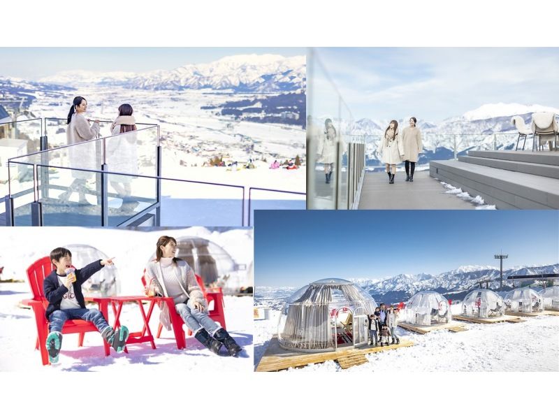 [Niigata, Ishiuchi] A day trip plan to a world of silvery white snow on the Joetsu Shinkansen from Tokyo - A recommended plan for those who want to see snow at Ishiuchi Maruyama Ski Resort and take stylish photos!の紹介画像