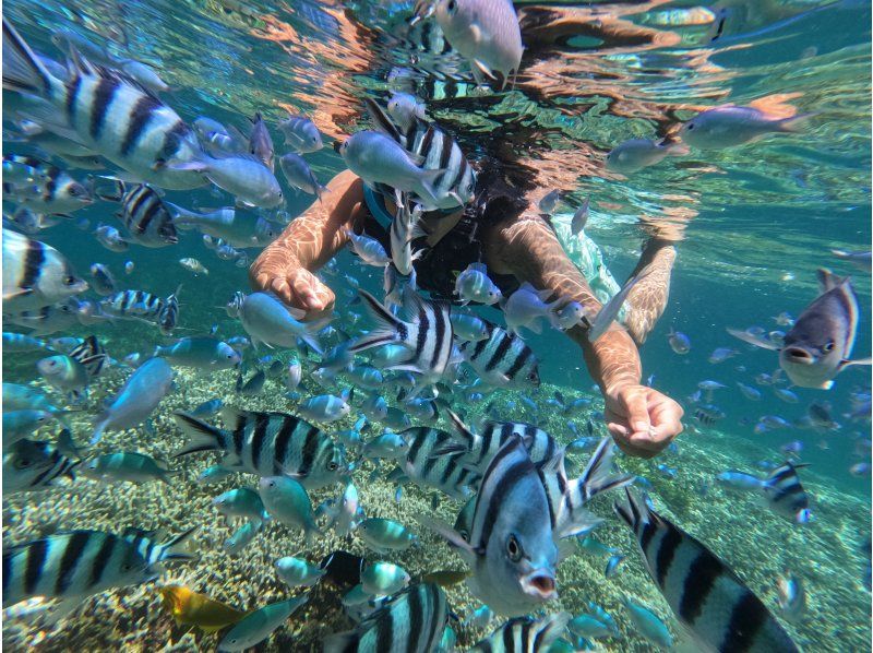 13種類から選んで遊べる【遊び放題3時間プラン】の紹介画像